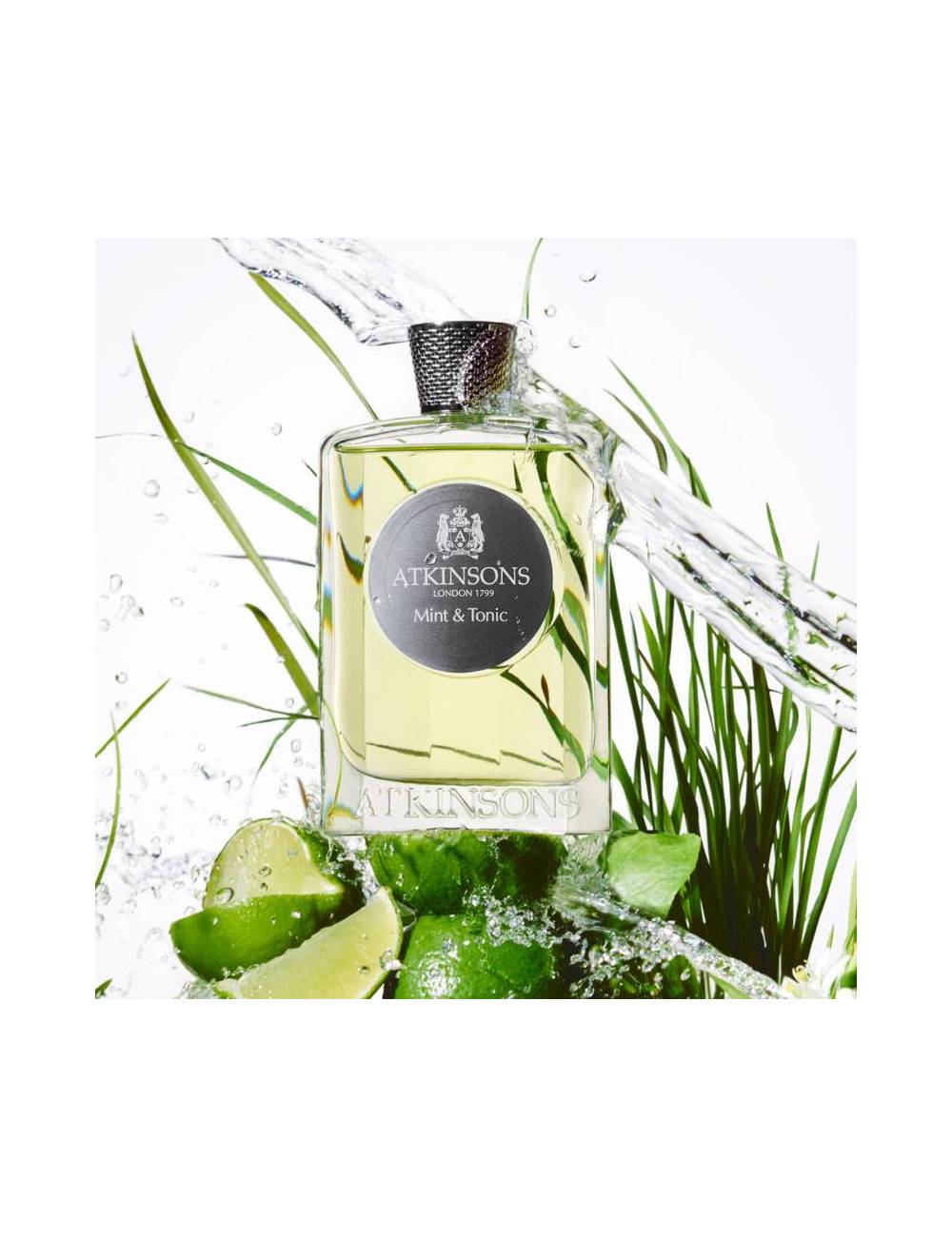 EDP 100 ML MINT & TONIC