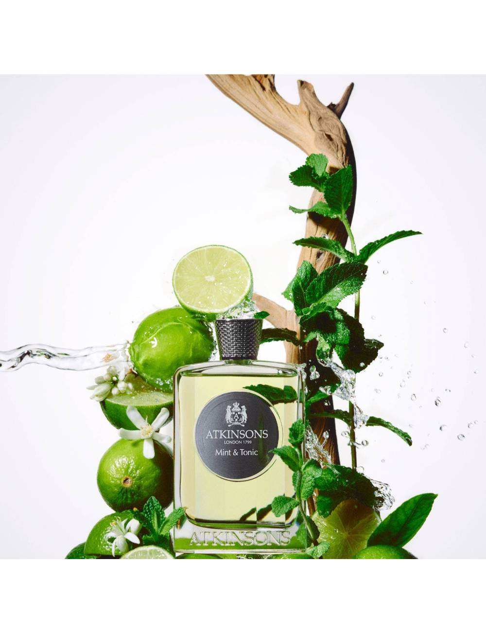 EDP 100 ML MINT & TONIC