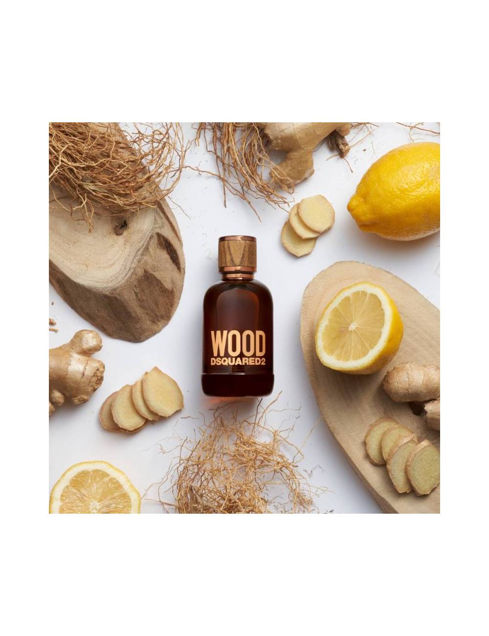 Fragancia Dsquared Wood For Him Edt 100ml