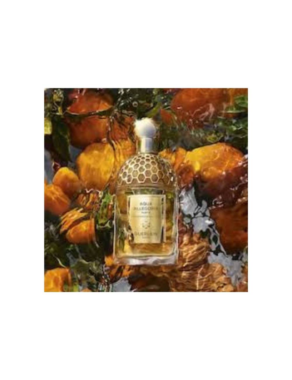 Perfume Aqua Allegoria Mandarina Basilica Edp Forte 200Ml Refill