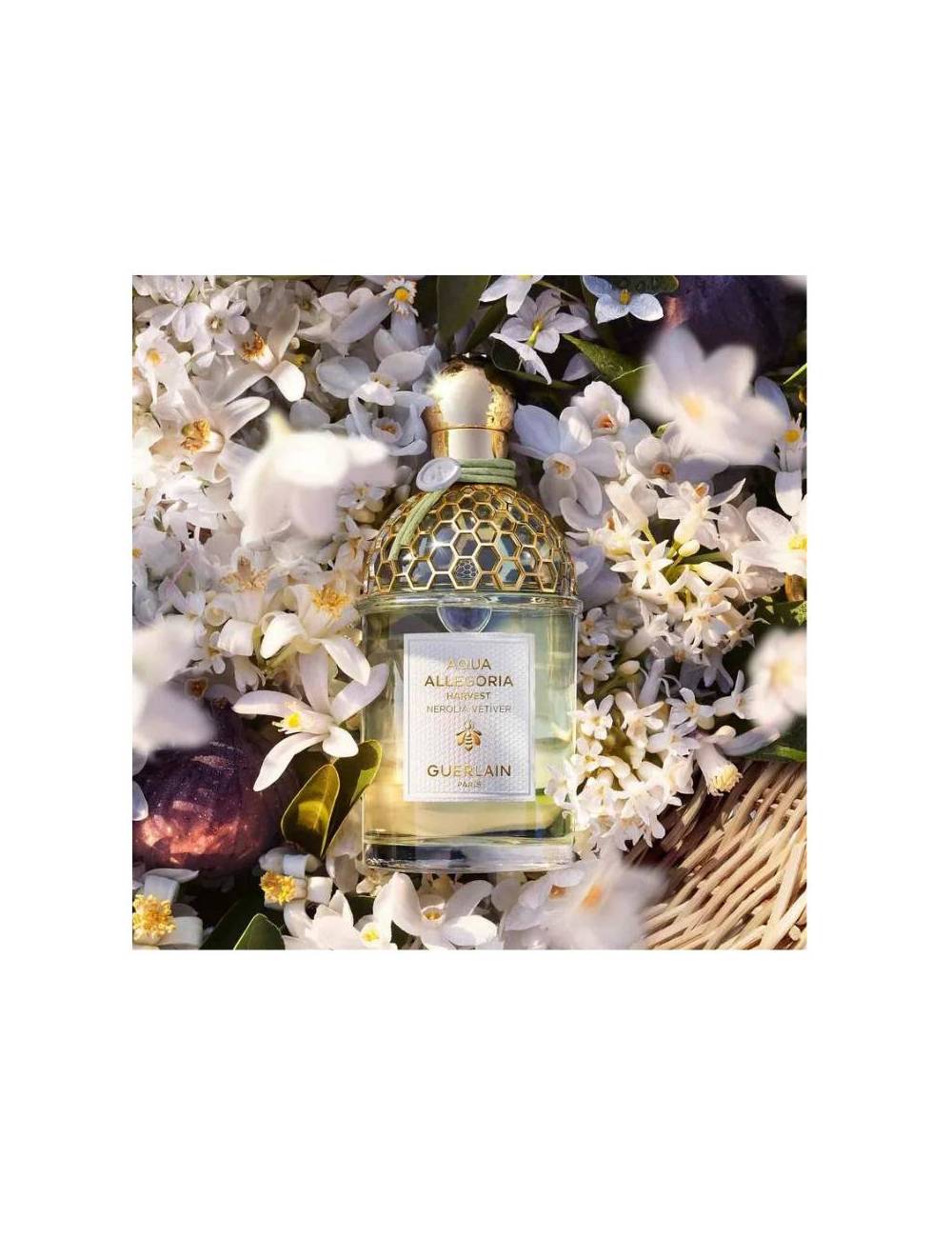 Perfume Aqua Allegoria Nerolia Vetiver Harvest Edt 125Ml