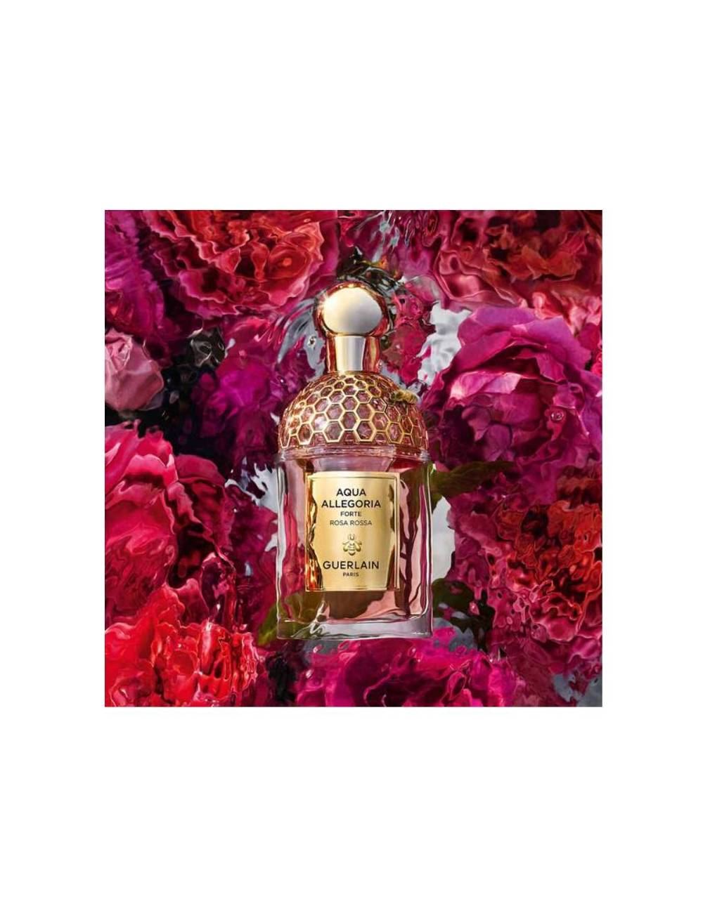 Perfume Aqua Allegoria Rosa Rossa Edp Forte 125Ml