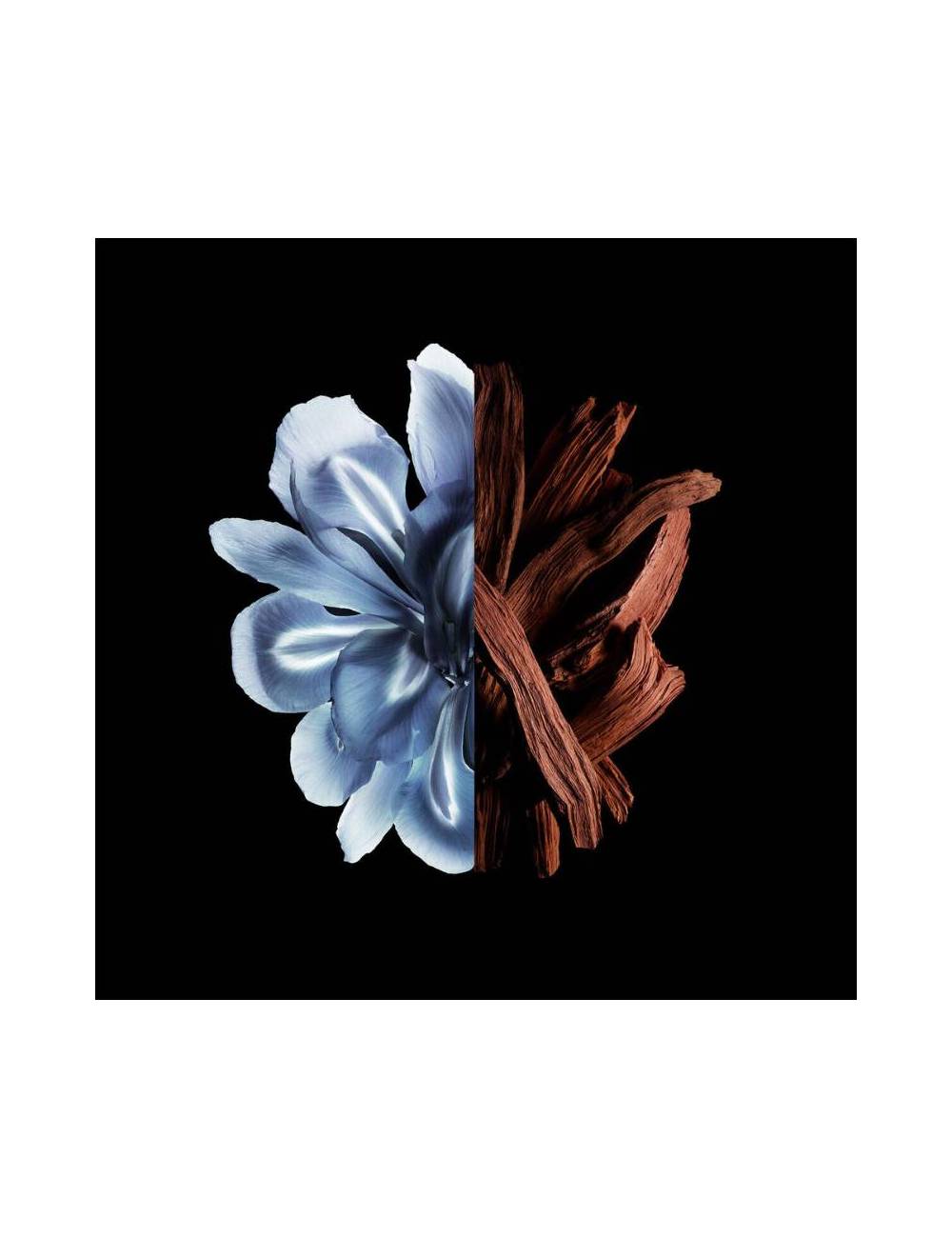 Perfume Givenchy Gentleman Edp Reserve Privée 60Ml Hombre