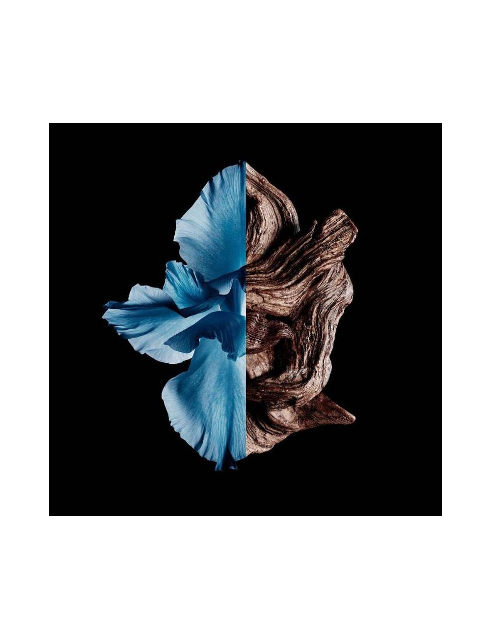 Perfume Givenchy Gentleman Edt Intense 60Ml Hombre