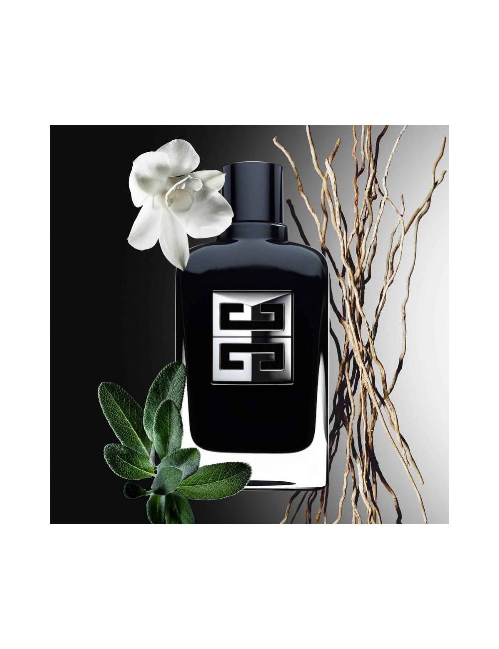 Perfume Givenchy Gentleman Society Edp 100Ml