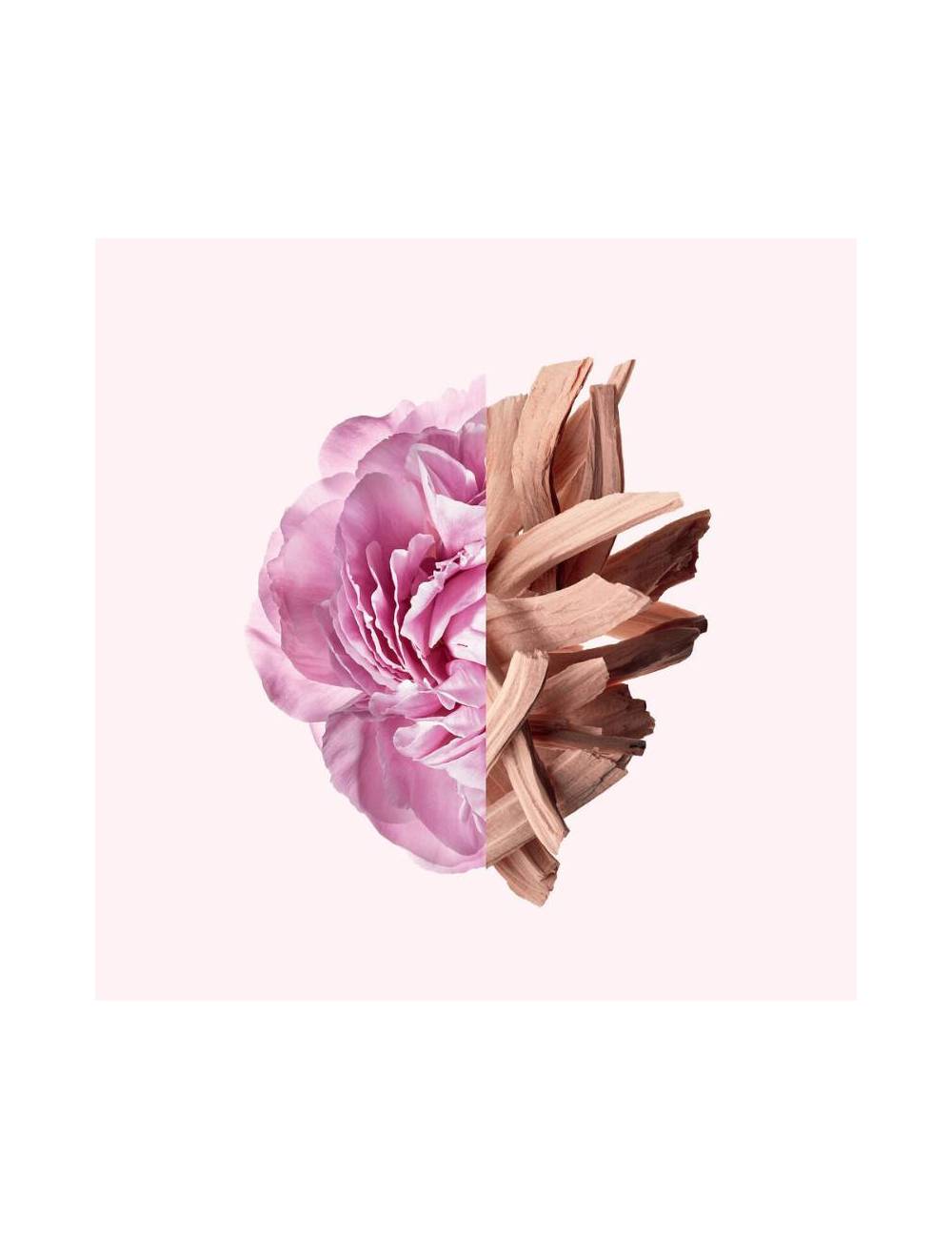 Perfume Givenchy Irresistible Edt 50Ml Mujer