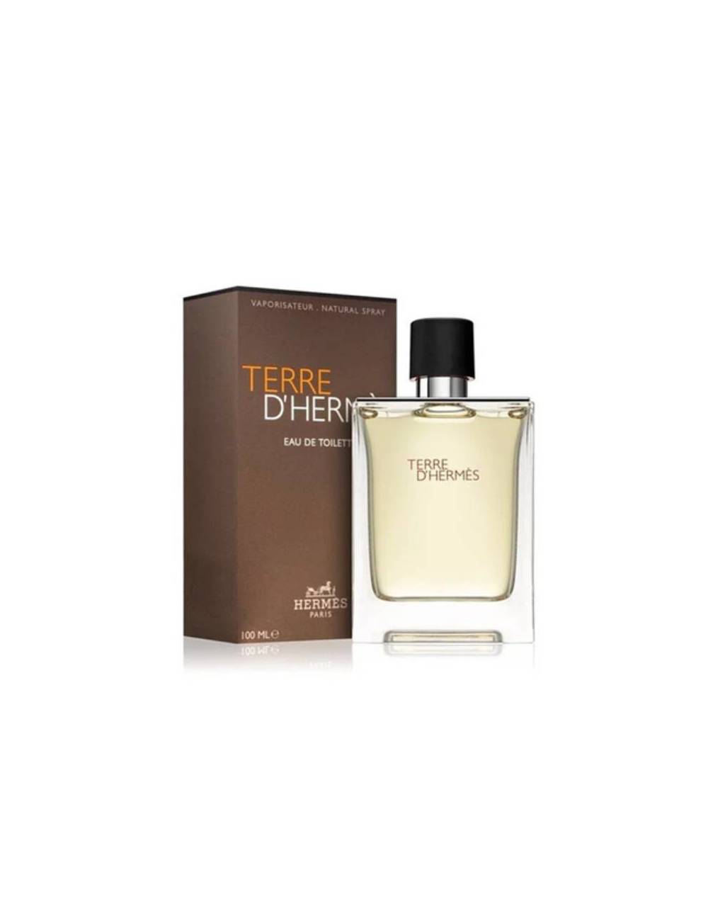 Perfume Hermès Terre D'Hermès Edt 100Ml Hombre